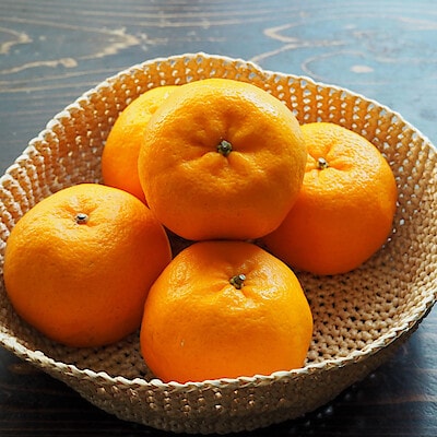 愛媛県産　田縁農園の柑橘「ぽんかん」約２．５ｋｇ（２０～３０玉入り）