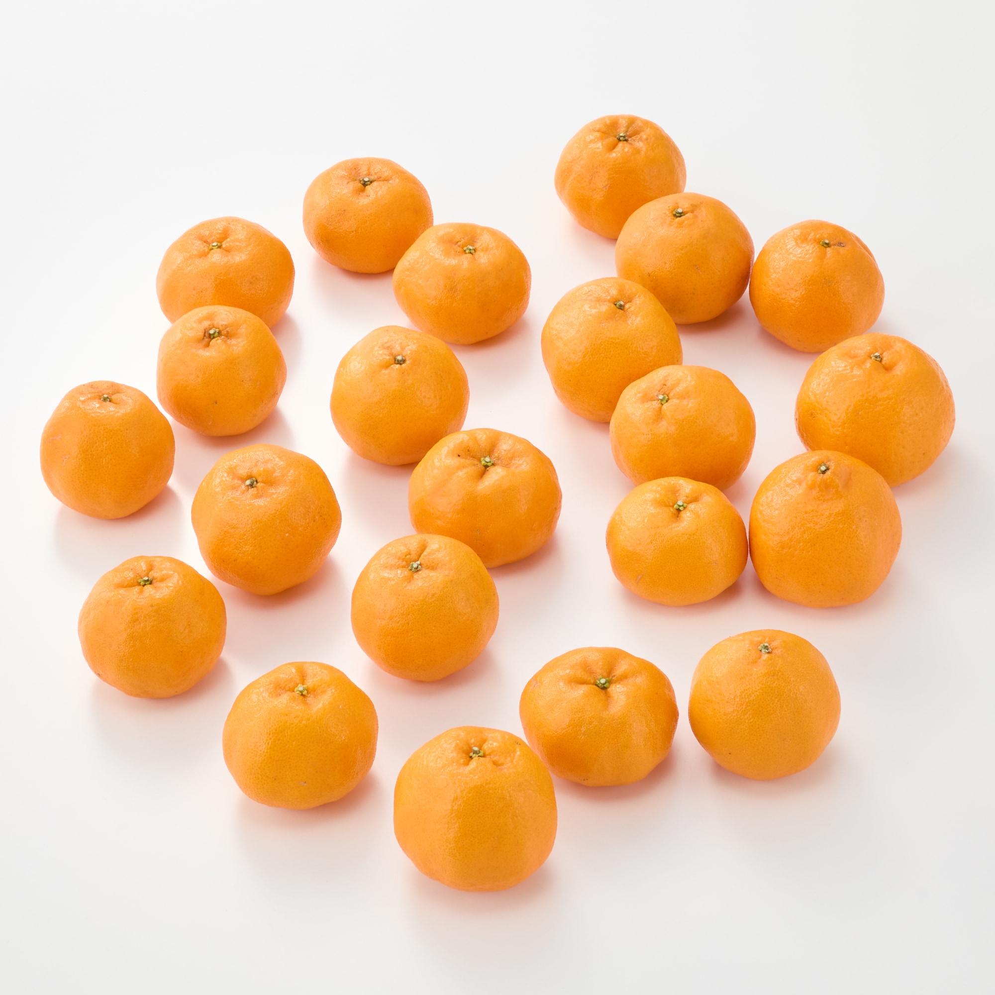 愛媛県産　田縁農園の柑橘「ぽんかん」約２．５ｋｇ（２０～３０玉入り）