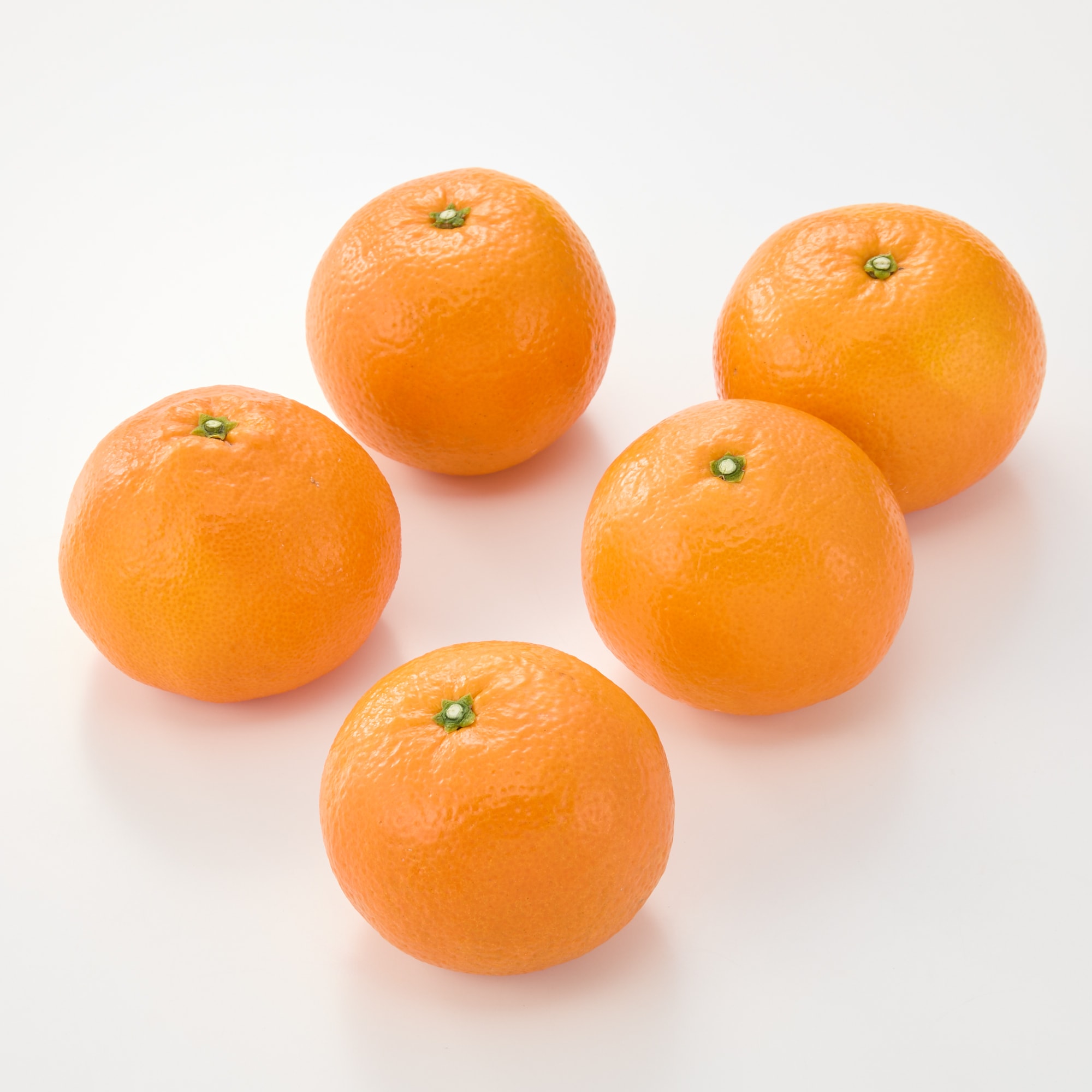 愛媛県産　田縁農園の柑橘「いよかん」約５ｋｇ（１５～２５玉入り）