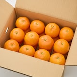 愛媛県産　田縁農園の柑橘「いよかん」約５ｋｇ（１５～２５玉入り）