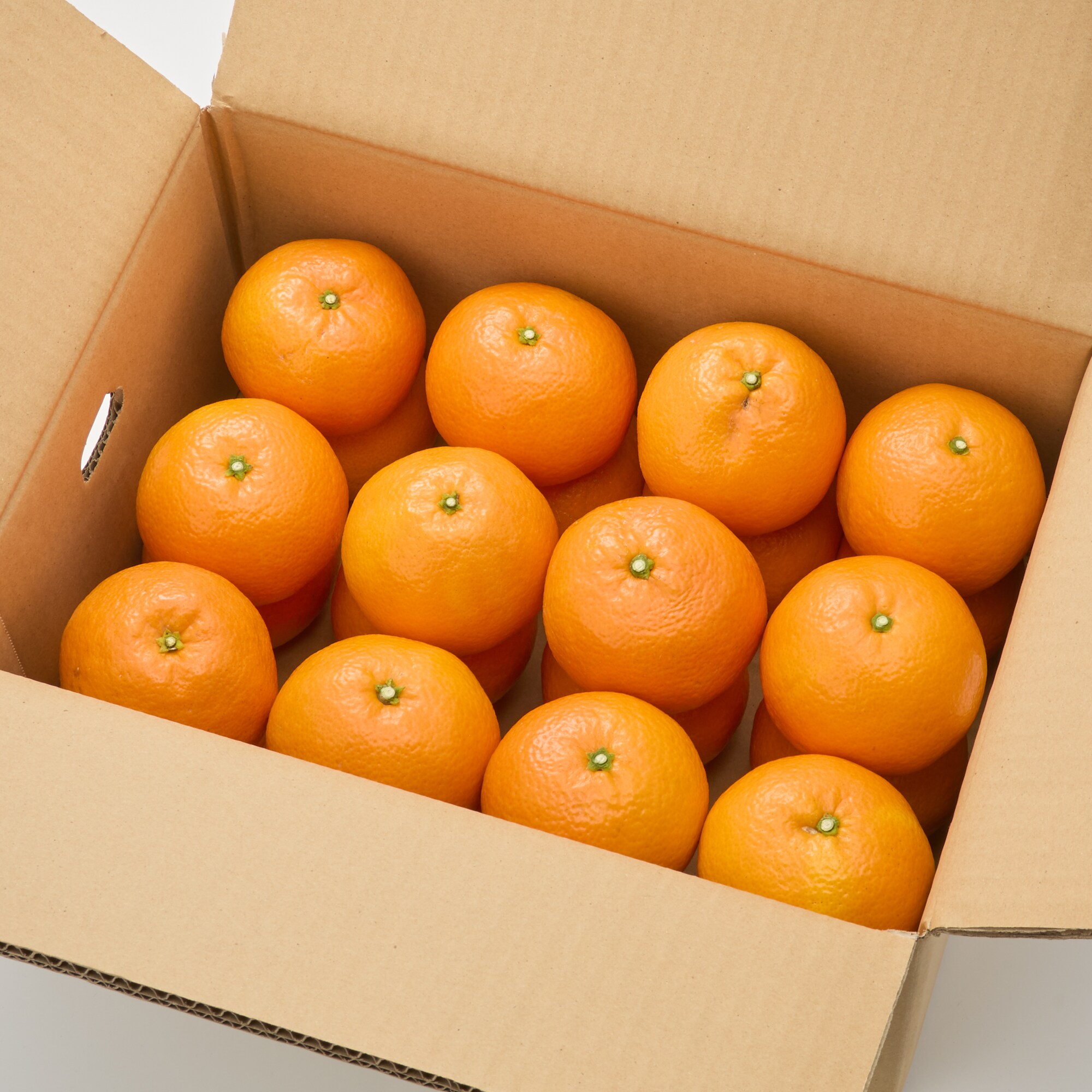 愛媛県産　田縁農園の柑橘「いよかん」約５ｋｇ（１５～２５玉入り）