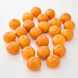 愛媛県産　田縁農園の柑橘「いよかん」約５ｋｇ（１５～２５玉入り）