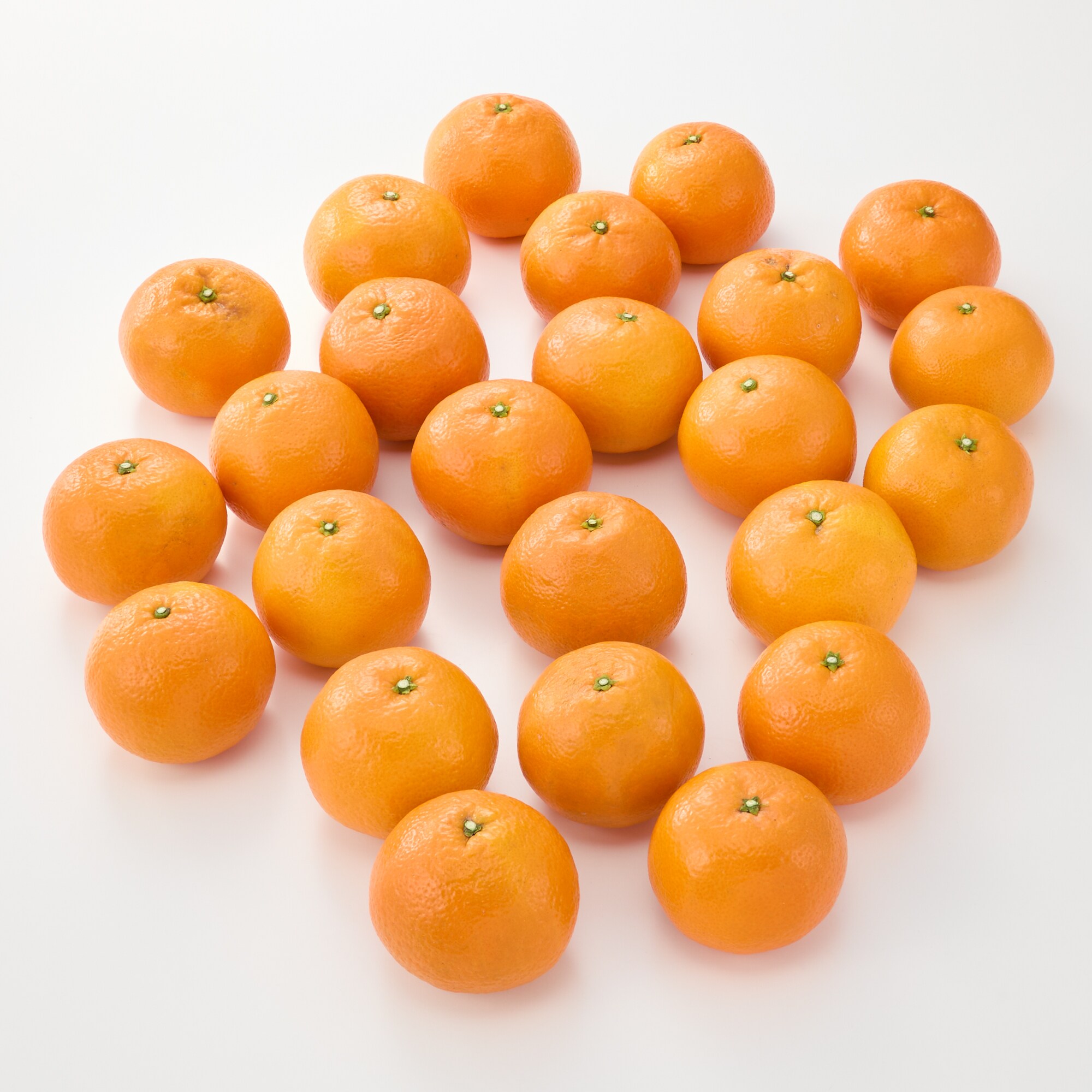 愛媛県産　田縁農園の柑橘「いよかん」約５ｋｇ（１５～２５玉入り）