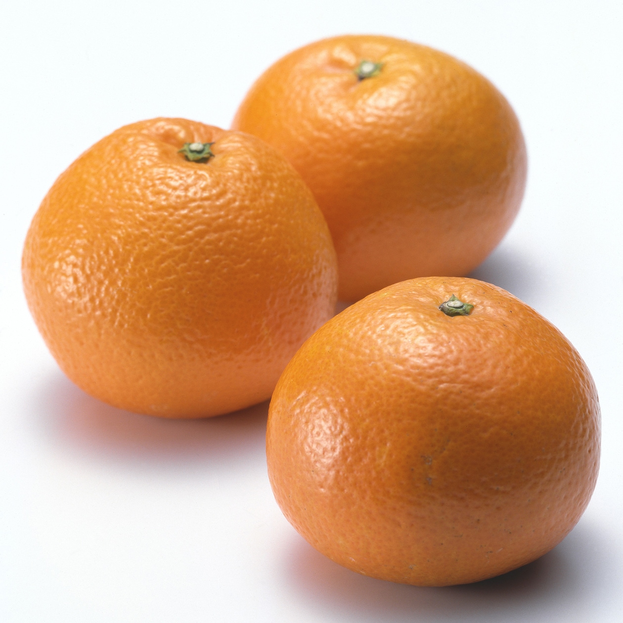 愛媛県産　田縁農園の柑橘「いよかん」約５ｋｇ（１５～２５玉入り）