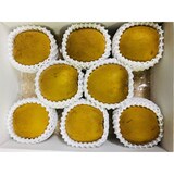 香川県　キウイバードのキウイ「おっきいたまご」約１．４ｋｇ（６～9玉）【ギフトにおすすめ】