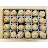 香川県　キウイバードの「キウイのたまご」約１ｋｇ（２４玉）