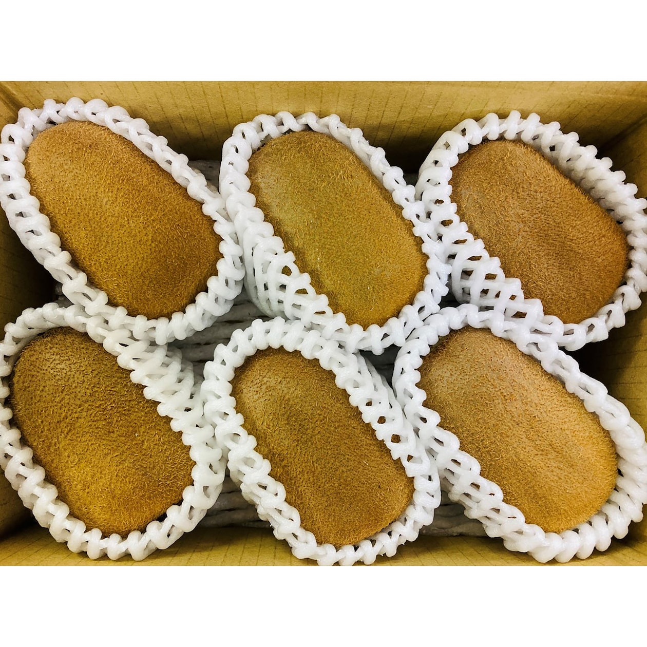 香川県　キウイバードのキウイ「香緑」約７００ｇ（５～６玉）