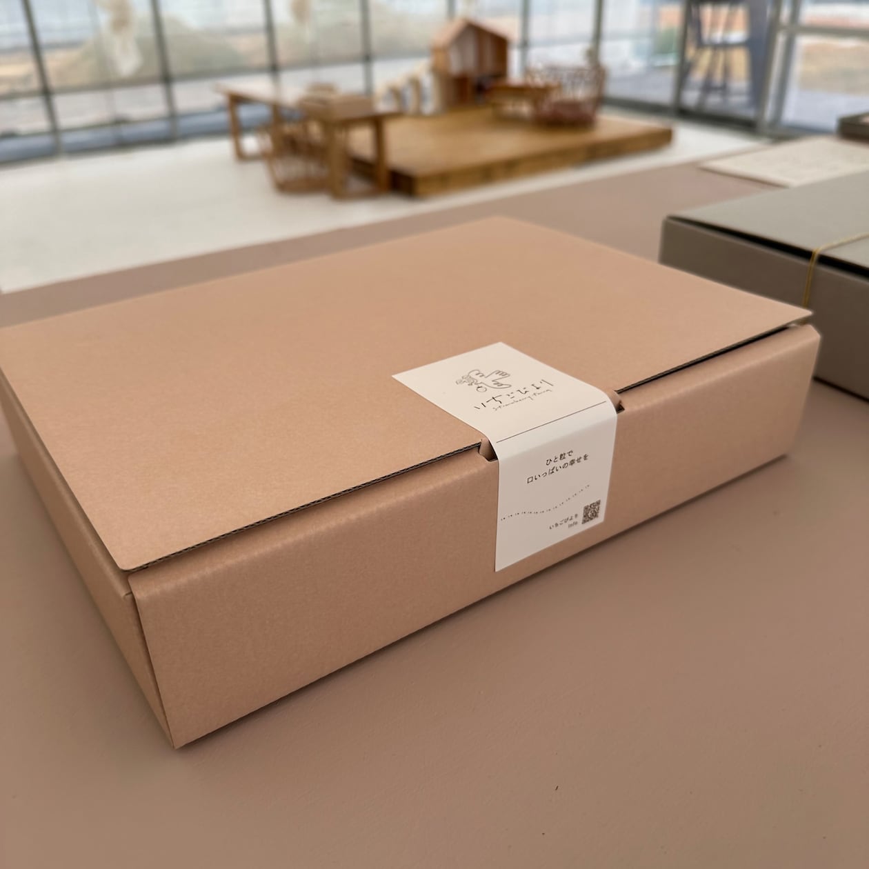 滋賀県産　いちごびよりのいちご「ベリーポップすず＆お任せ品種」約５００ｇ