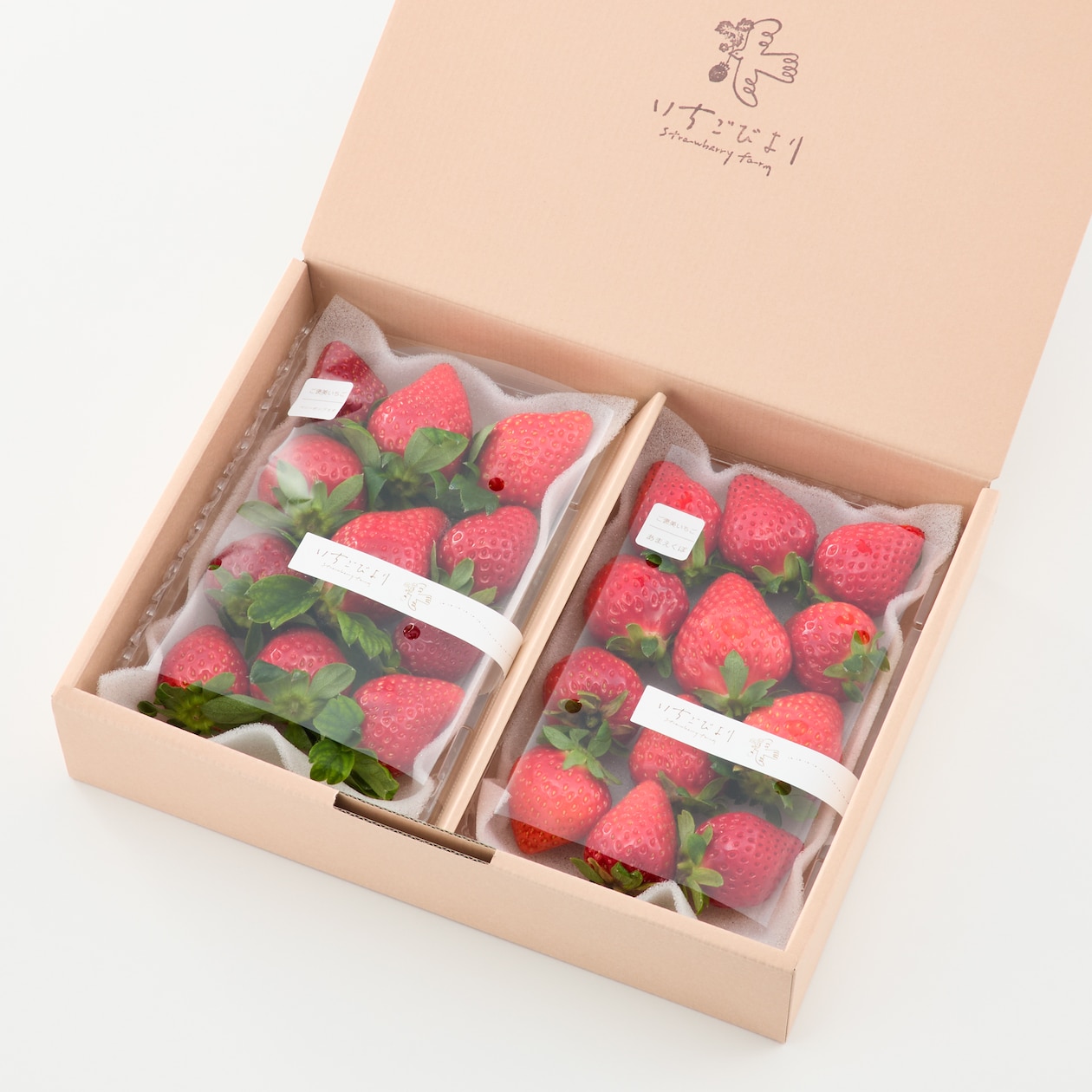 滋賀県産　いちごびよりのいちご「ベリーポップすず＆お任せ品種」約５００ｇ