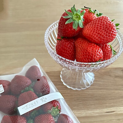 滋賀県産　いちごびよりのいちご「ベリーポップすず＆お任せ品種」約５００ｇ