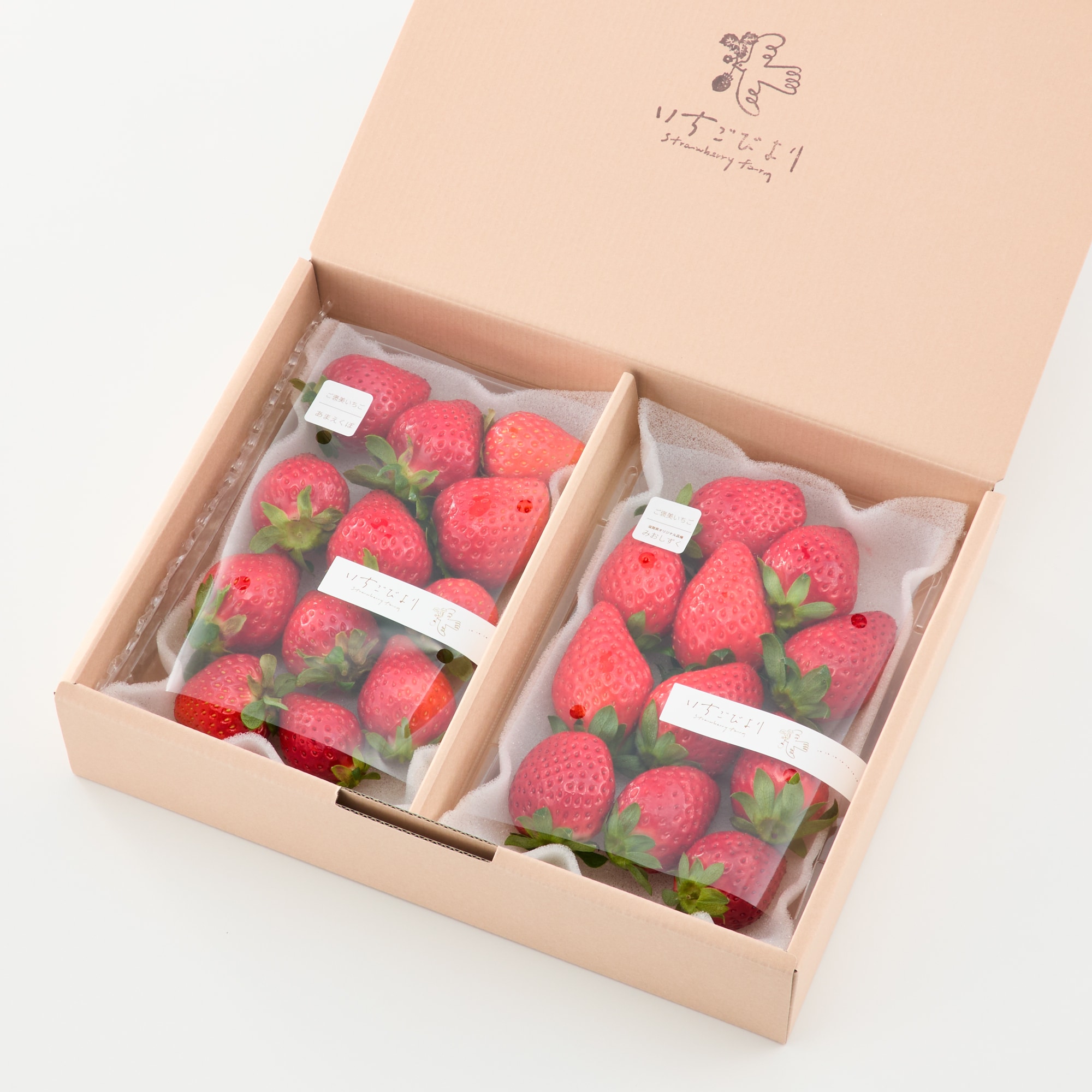 滋賀県産 いちごびよりのいちご「あまえくぼ＆お任せ品種」約500g