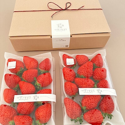 滋賀県産　いちごびよりのいちご「あまえくぼ＆お任せ品種」約５００ｇ