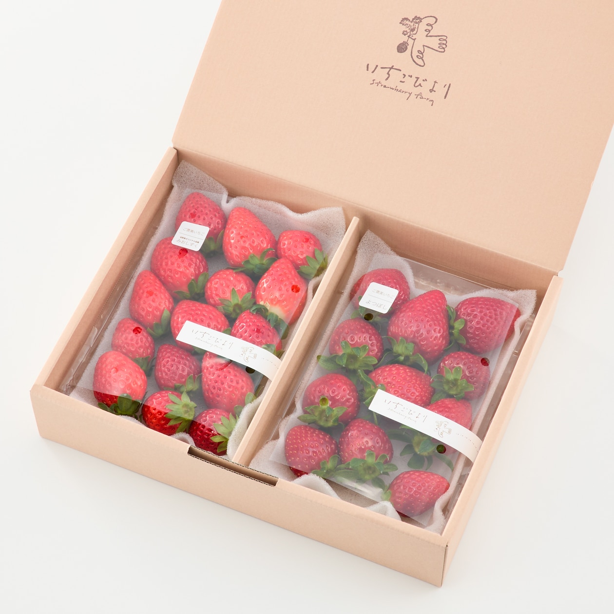 滋賀県産　いちごびよりのいちご「よつぼし＆お任せ品種」約５００ｇ