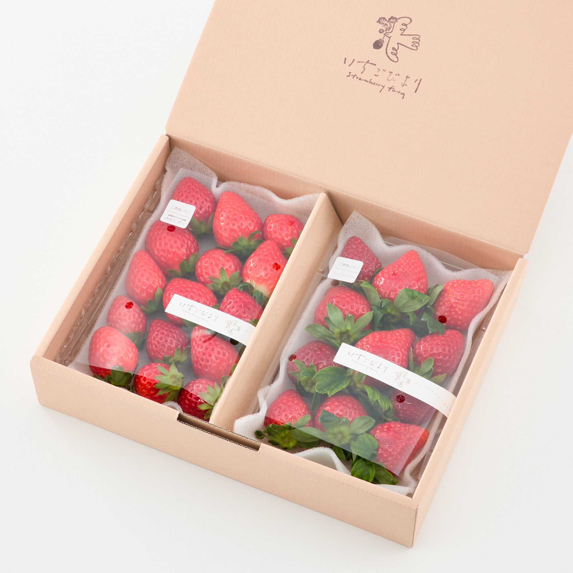 滋賀県産　いちごびよりのいちご「みおしずく＆お任せ品種」約５００ｇ