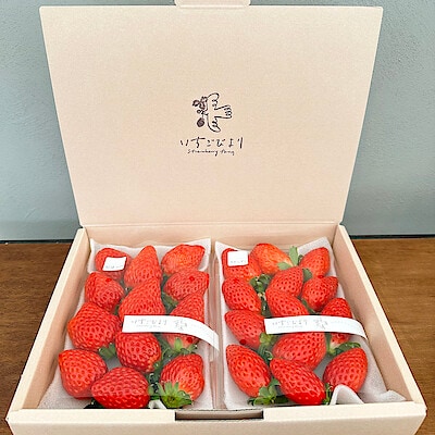 滋賀県産　いちごびよりのいちご「みおしずく＆お任せ品種」約５００ｇ