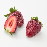 滋賀県産　いちごびよりのいちご「真紅の美鈴＆お任せ品種」約５００ｇ