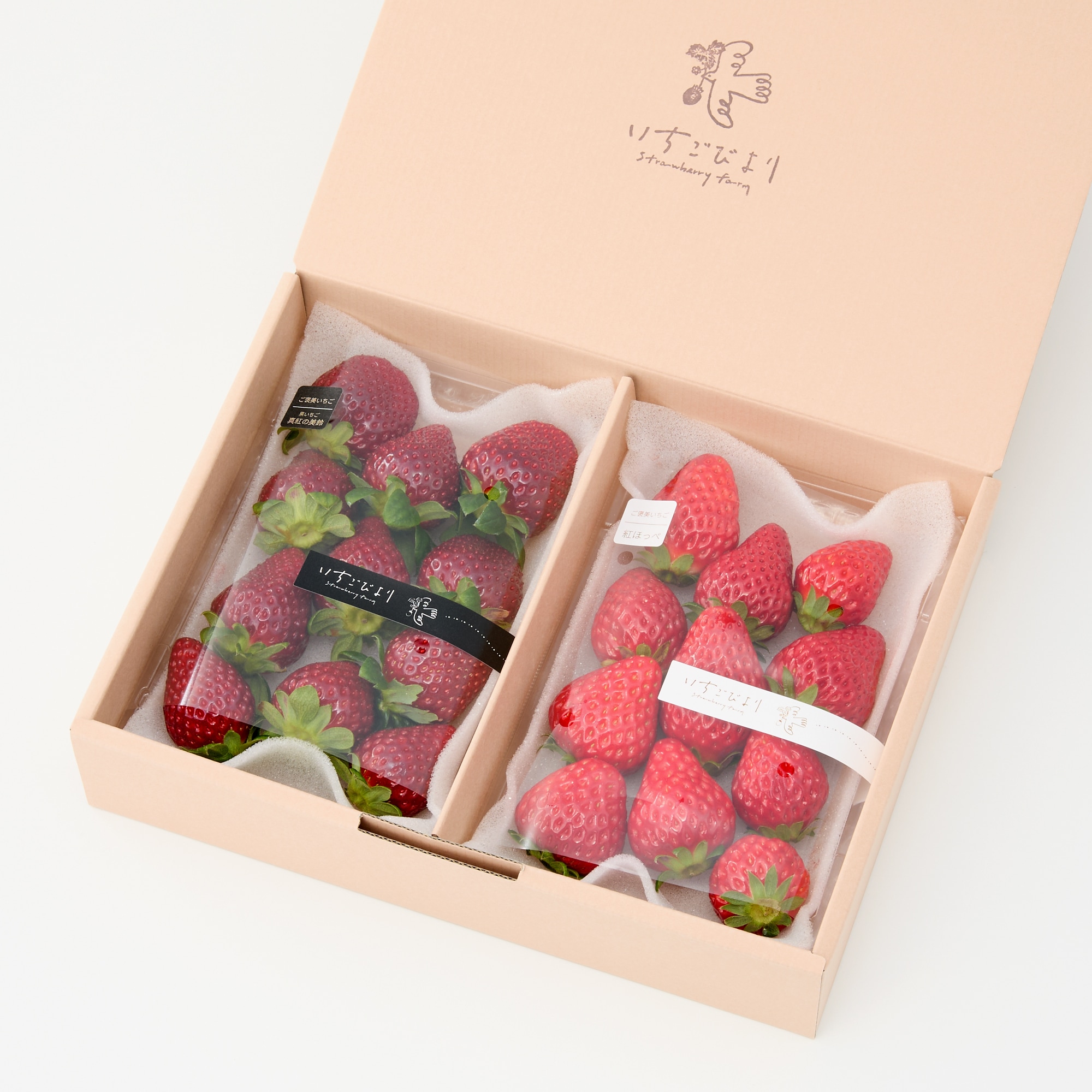 滋賀県産　いちごびよりのいちご「真紅の美鈴＆お任せ品種」約５００ｇ