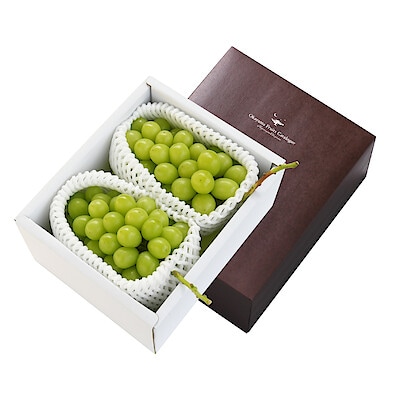 【ギフトにおすすめ】岡山県高梁市　潮ぶどう農園の冬のシャインマスカット　２房（合計１．２ｋｇ）