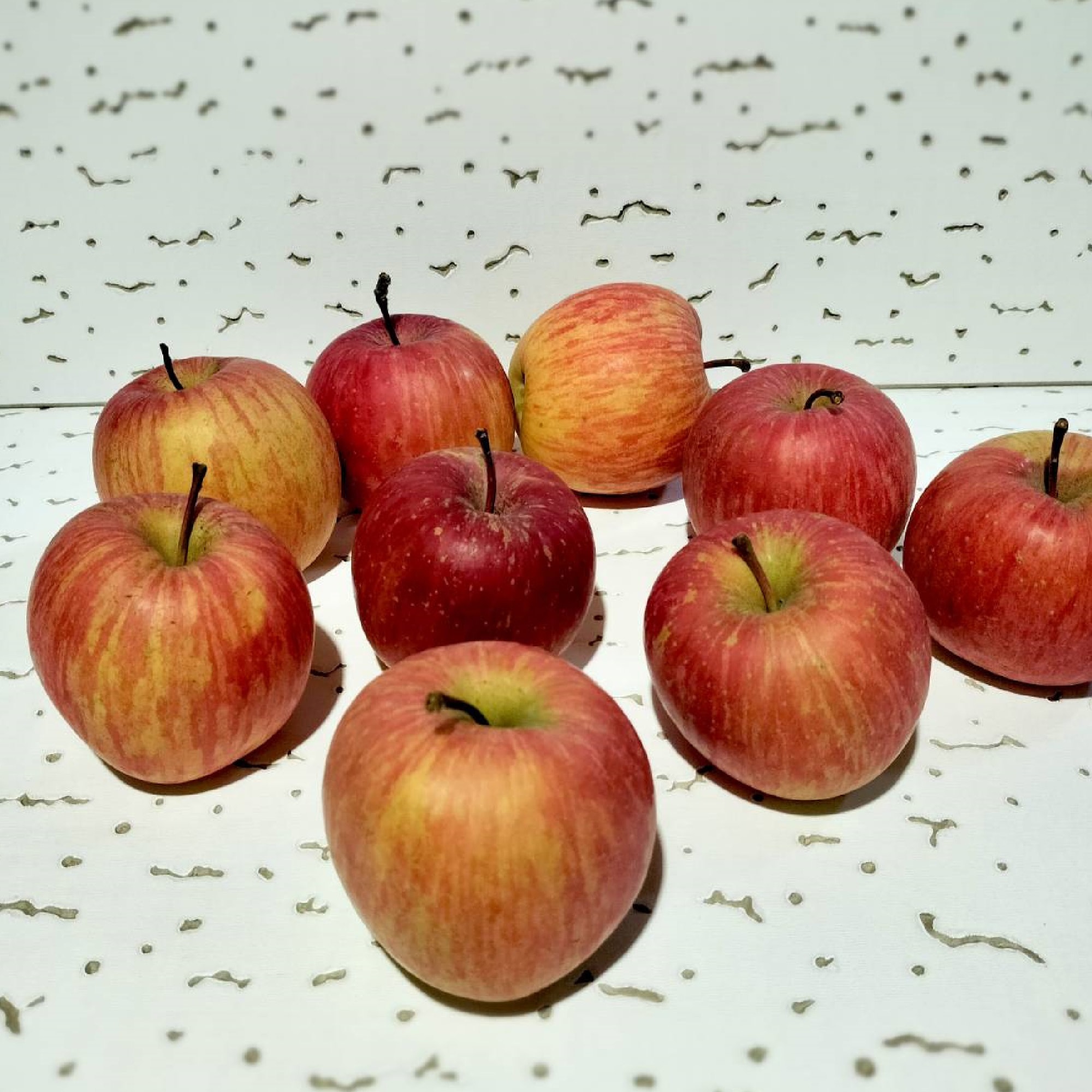 秋田県　さとう果樹園　訳ありふじ　５ｋｇ