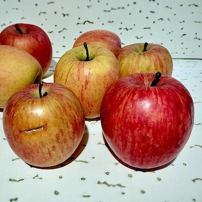 秋田県　さとう果樹園　訳ありふじ　５ｋｇ