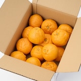 熊本県産　松川果樹園の「肥の豊」３ｋｇ