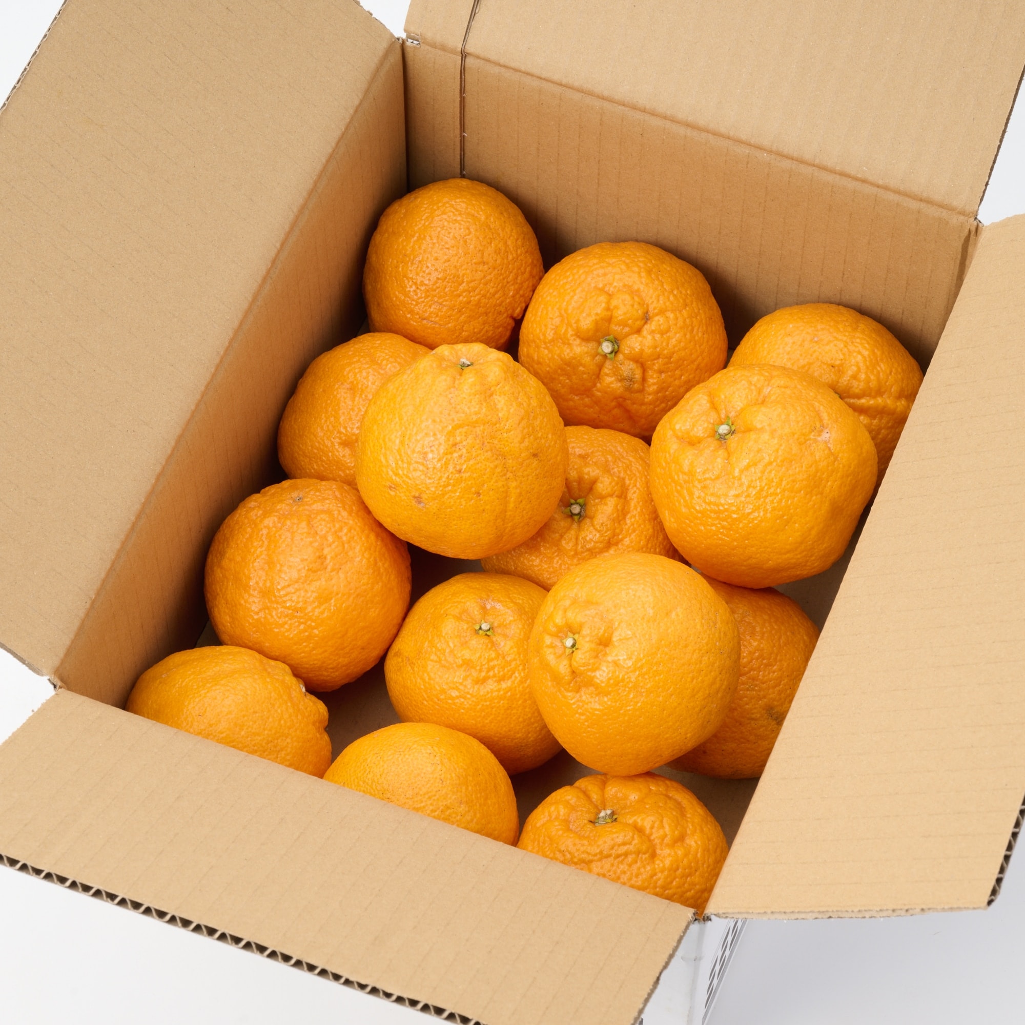 熊本県産　松川果樹園の「肥の豊」３ｋｇ