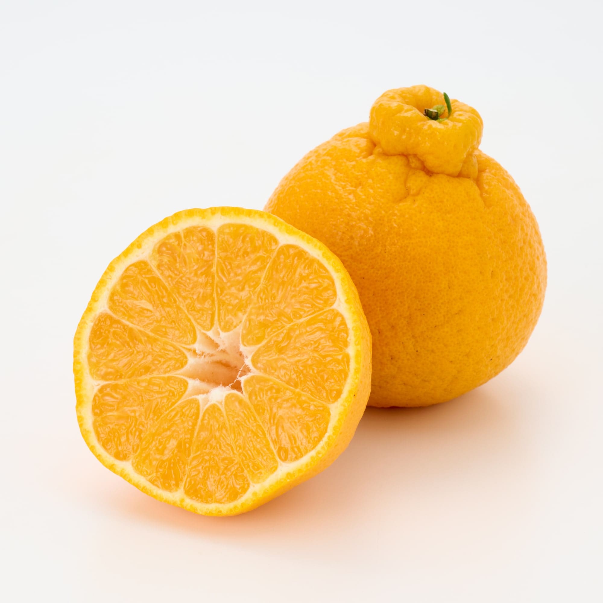 熊本県産　松川果樹園の小玉しらぬい「ミニポン」３ｋｇ