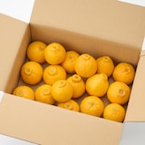 熊本県産　松川果樹園の小玉しらぬい「ミニポン」３ｋｇ