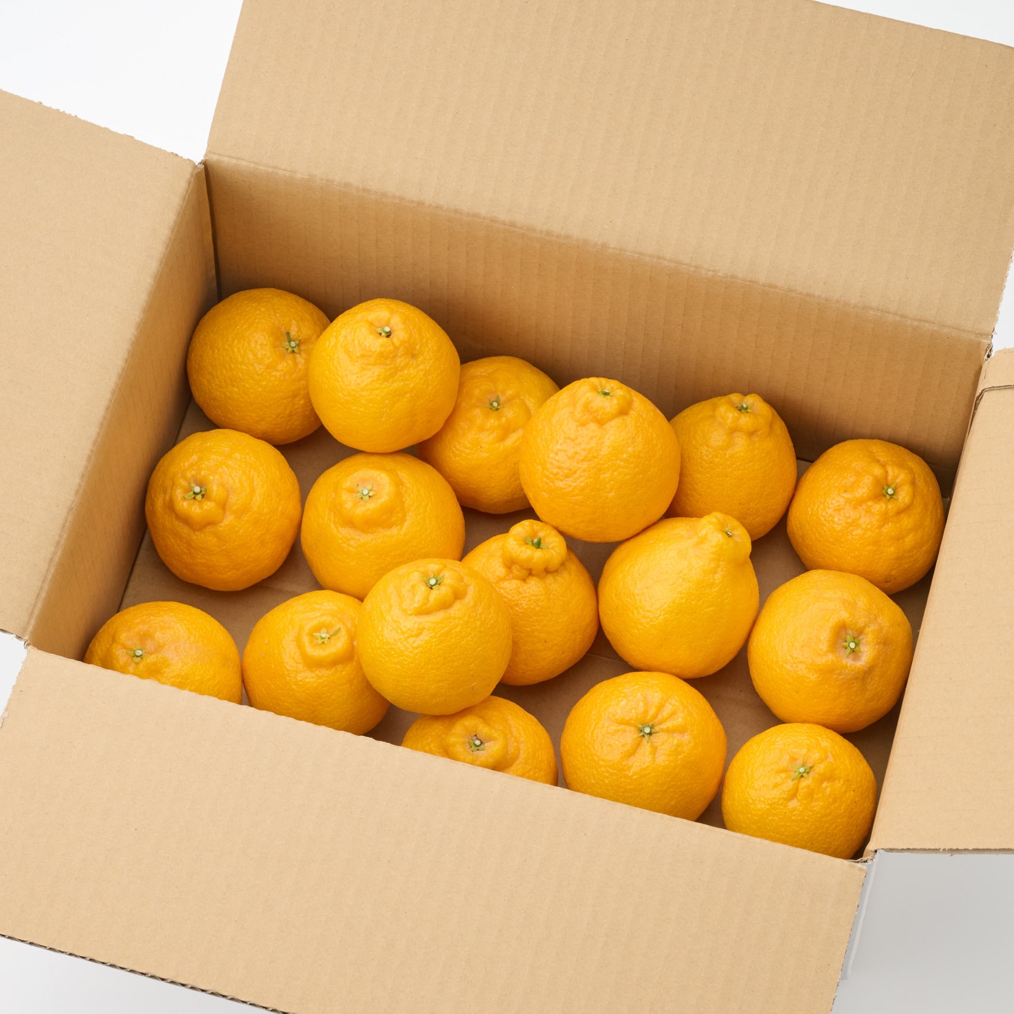 熊本県産　松川果樹園の小玉しらぬい「ミニポン」３ｋｇ