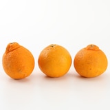 愛媛県産　無茶々園の「不知火」サイズ混合　約３ｋｇ