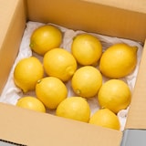 静岡県産 えなみ農園の「ユーレカレモン」サイズ混合 約１ｋｇ