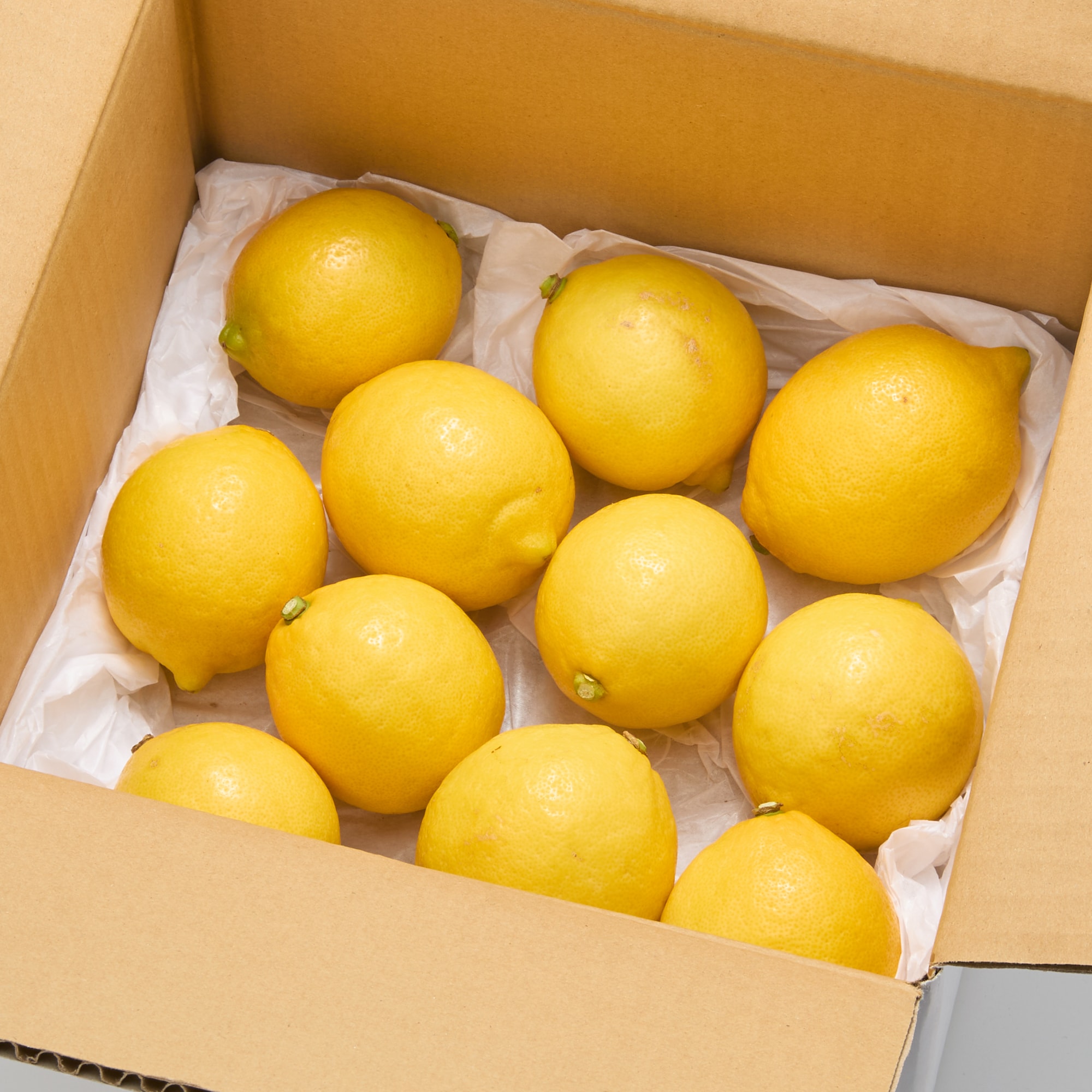 静岡県産 えなみ農園の「ユーレカレモン」サイズ混合 約１ｋｇ