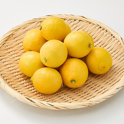 静岡県産 えなみ農園の「ユーレカレモン」サイズ混合 約１ｋｇ