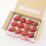 神奈川県産　SlowFarmの完熟いちご「ほしうらら」約４５０ｇ