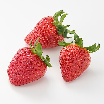 神奈川県産　SlowFarmの完熟いちご「ほしうらら」約４５０ｇ