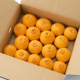 和歌山県産　早和果樹園の「不知火」・家庭用　４ｋｇ