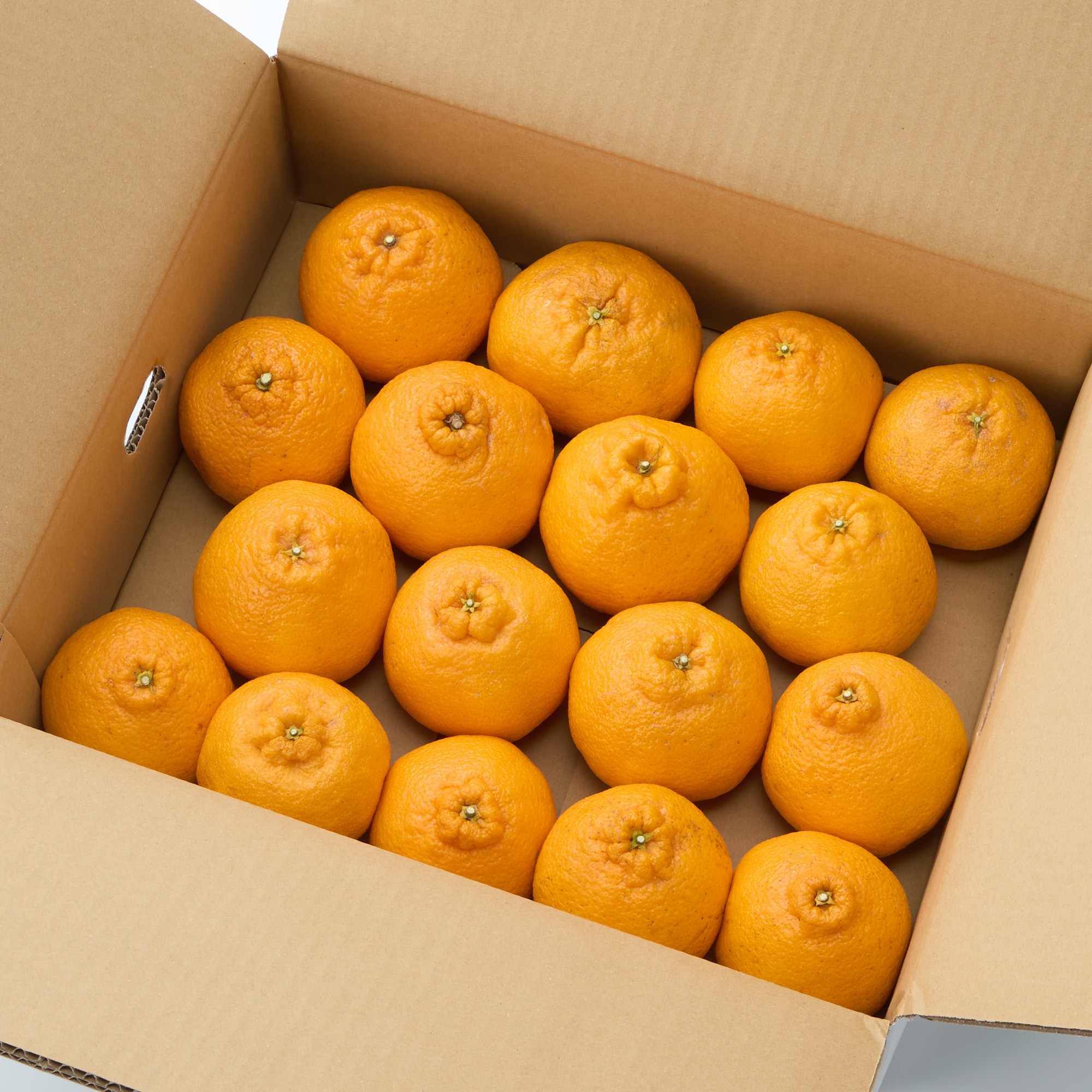 和歌山県産　早和果樹園の「不知火」・家庭用　４ｋｇ