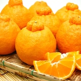 和歌山県産　早和果樹園の「不知火」・家庭用　４ｋｇ