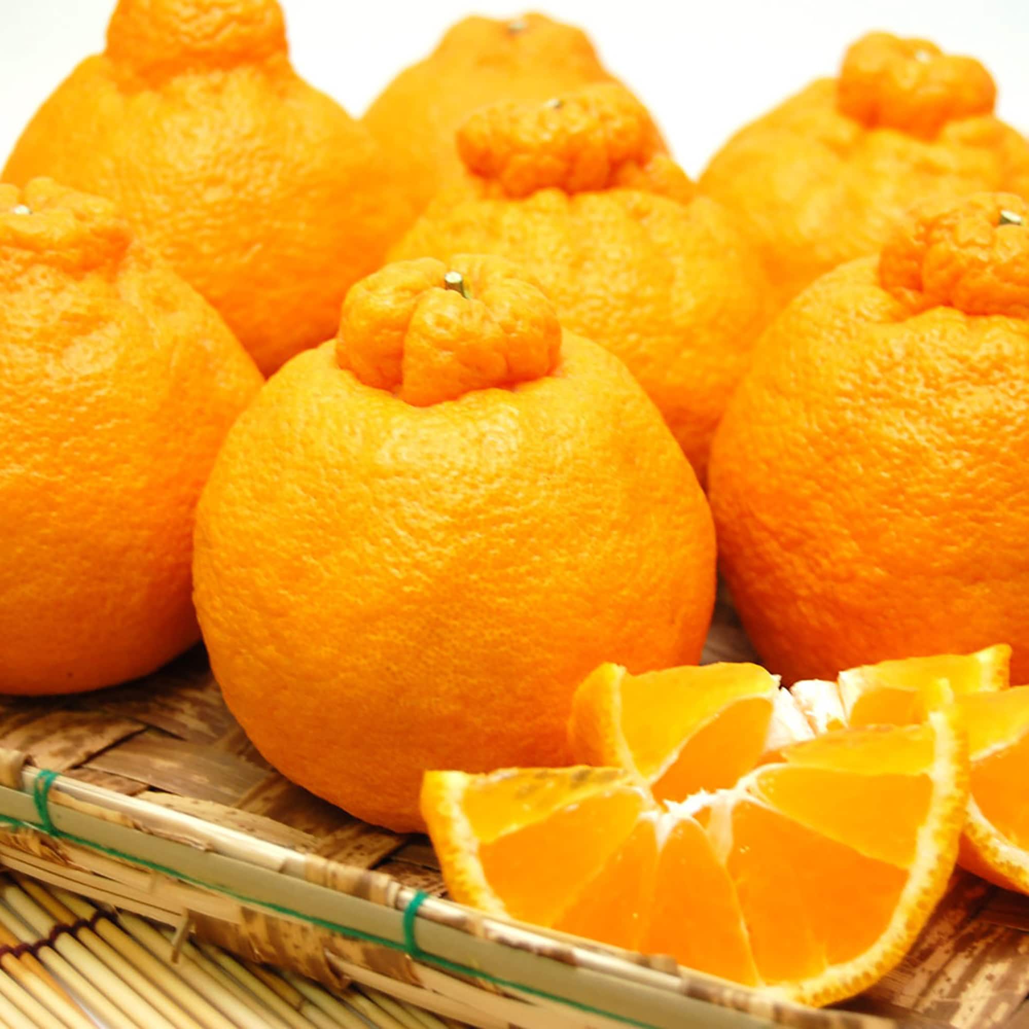 和歌山県産　早和果樹園の「不知火」・家庭用　４ｋｇ