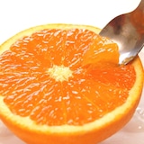 和歌山県産　早和果樹園の「清見」・家庭用４ｋｇ