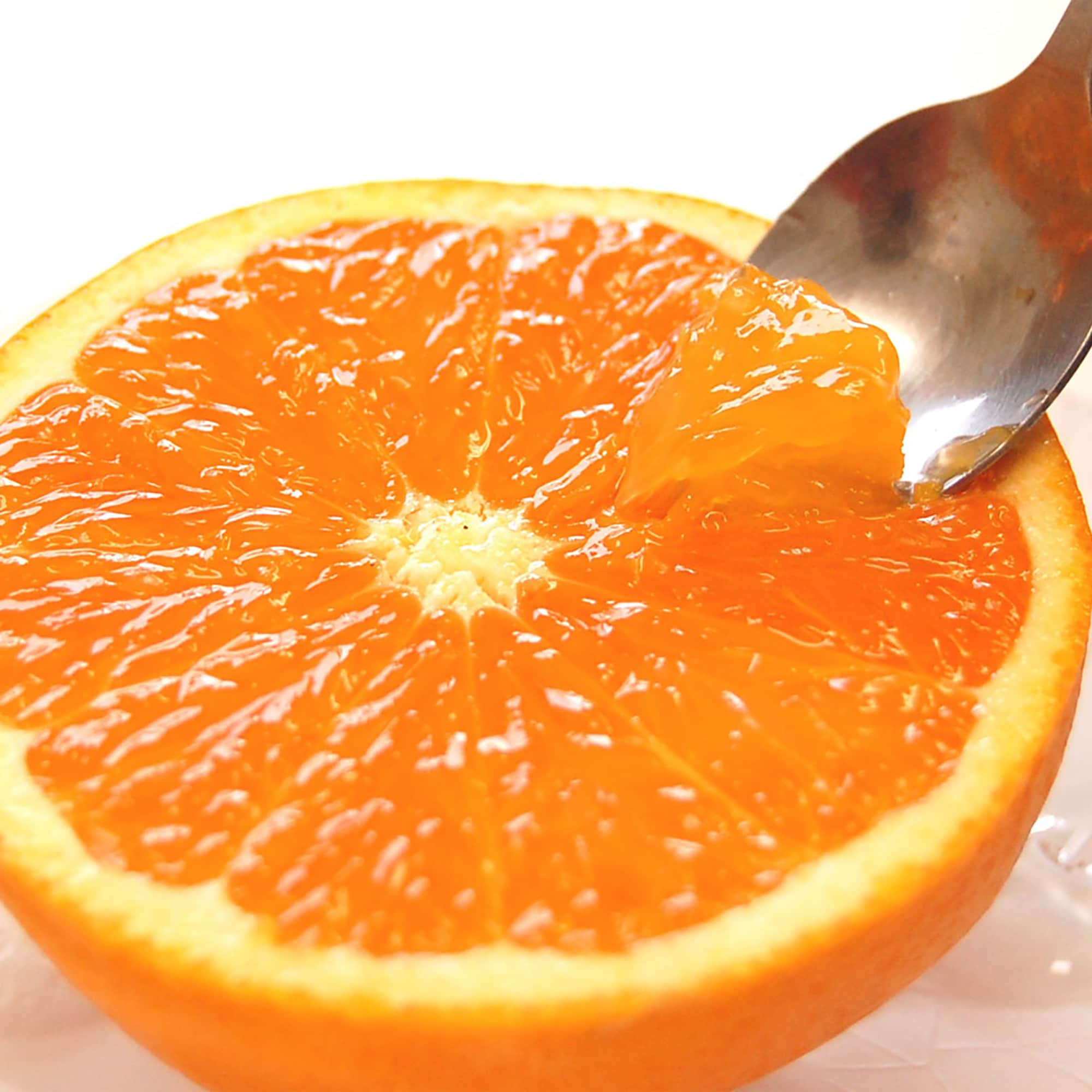 和歌山県産　早和果樹園の「清見」・家庭用４ｋｇ