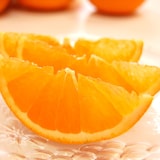 和歌山県産　早和果樹園の「清見」・家庭用４ｋｇ