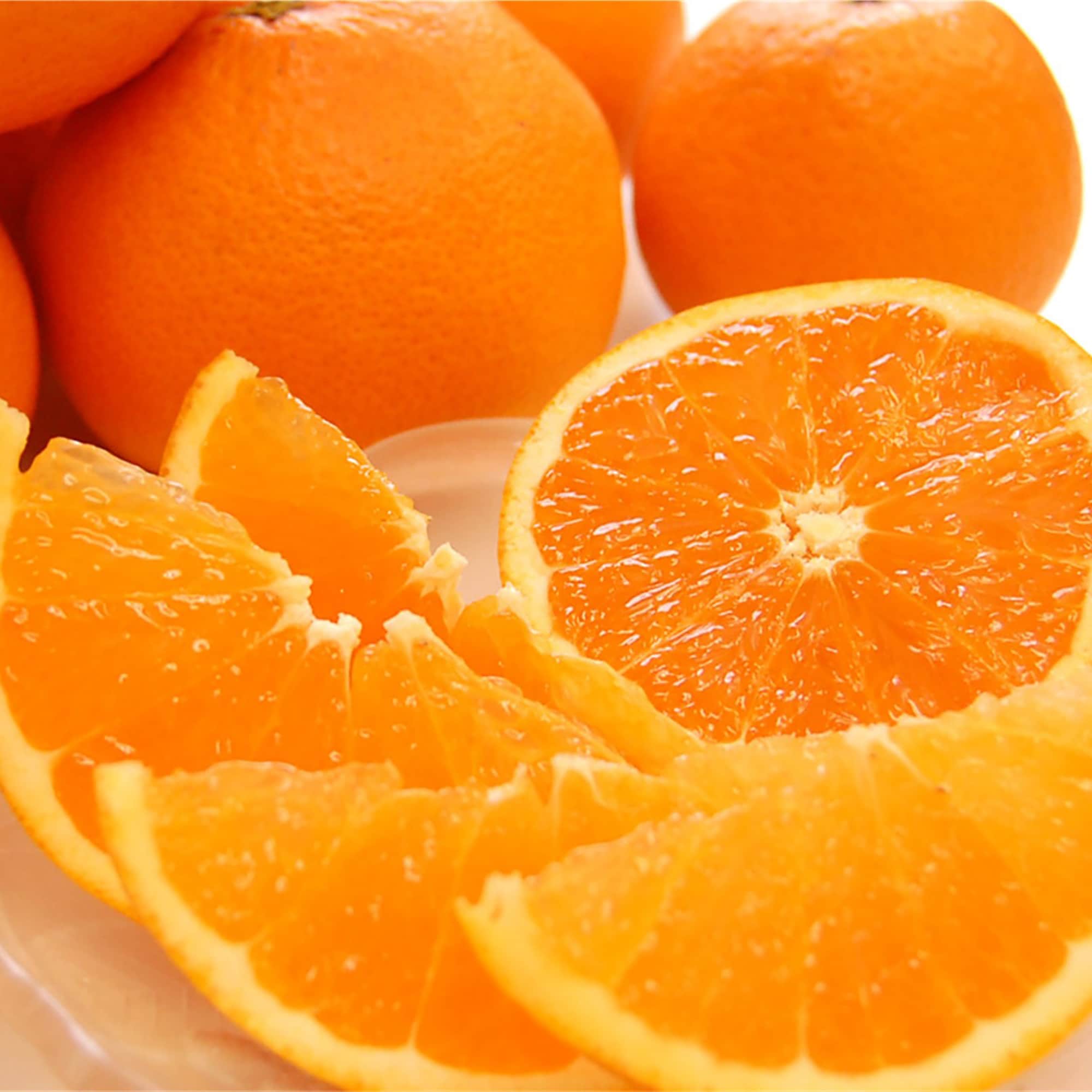 和歌山県産　早和果樹園の「清見」・家庭用４ｋｇ