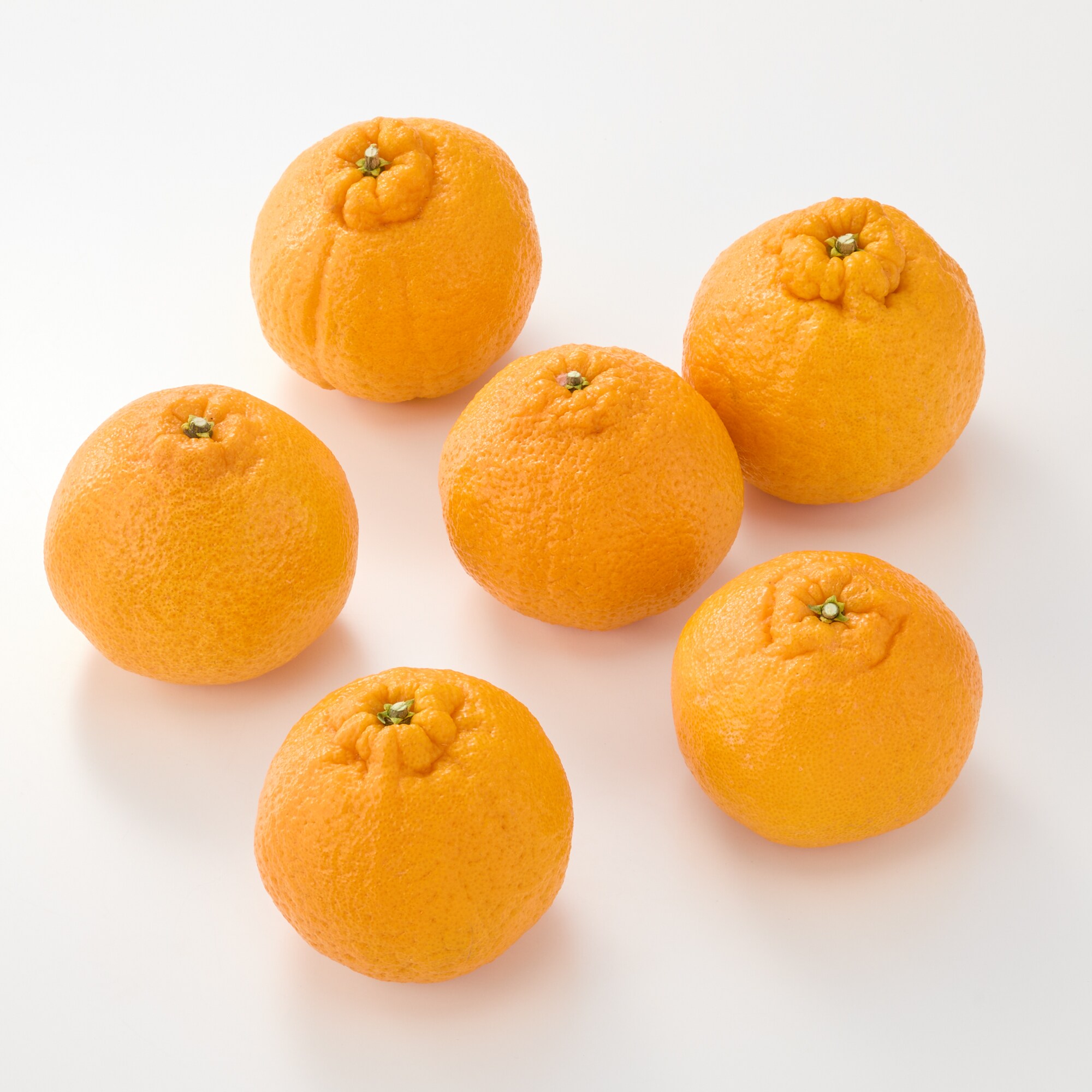 愛媛県産　増田柑園®の「樹上完熟不知火」（６個入り） 