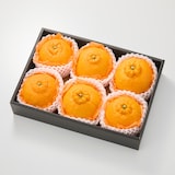 愛媛県産　増田柑園®の「樹上完熟不知火」（６個入り） 