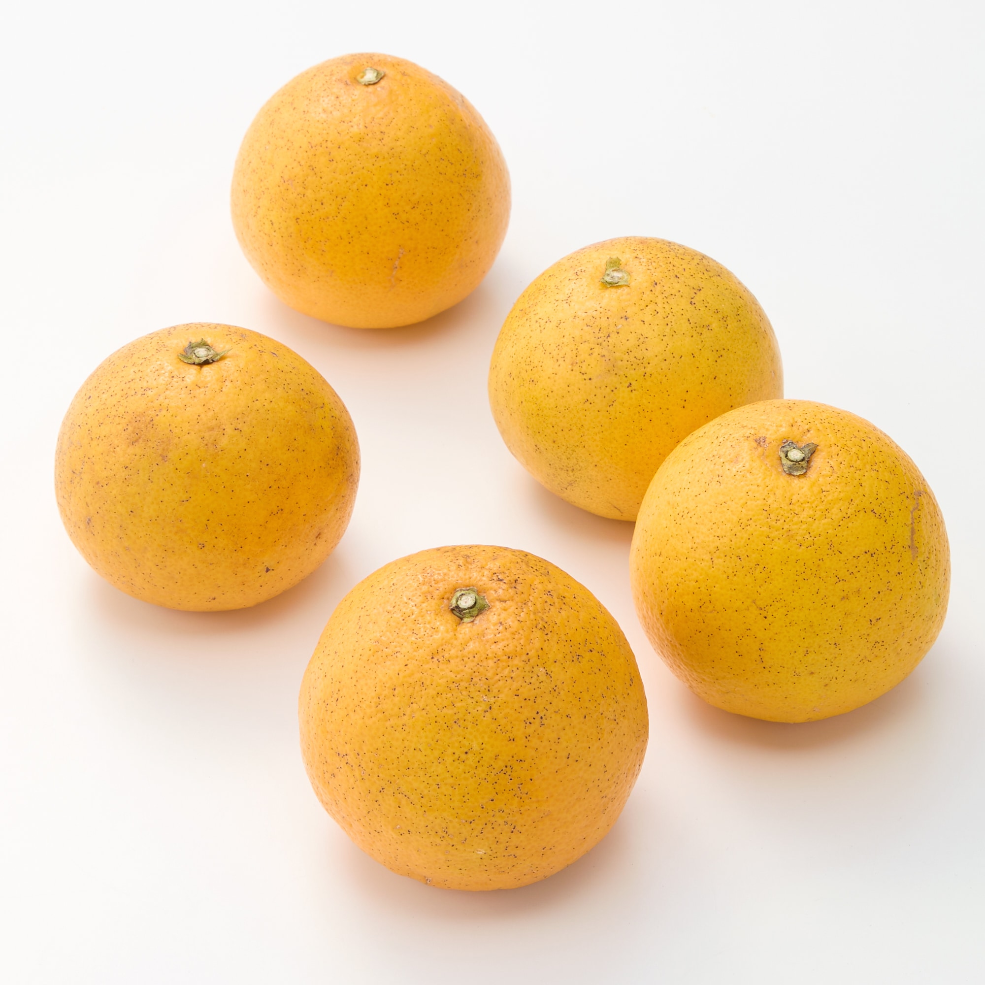 兵庫県産　森果樹園の「淡路橙（なるとオレンジ）」サイズ混合・約２．５ｋｇ（約９～１２玉）