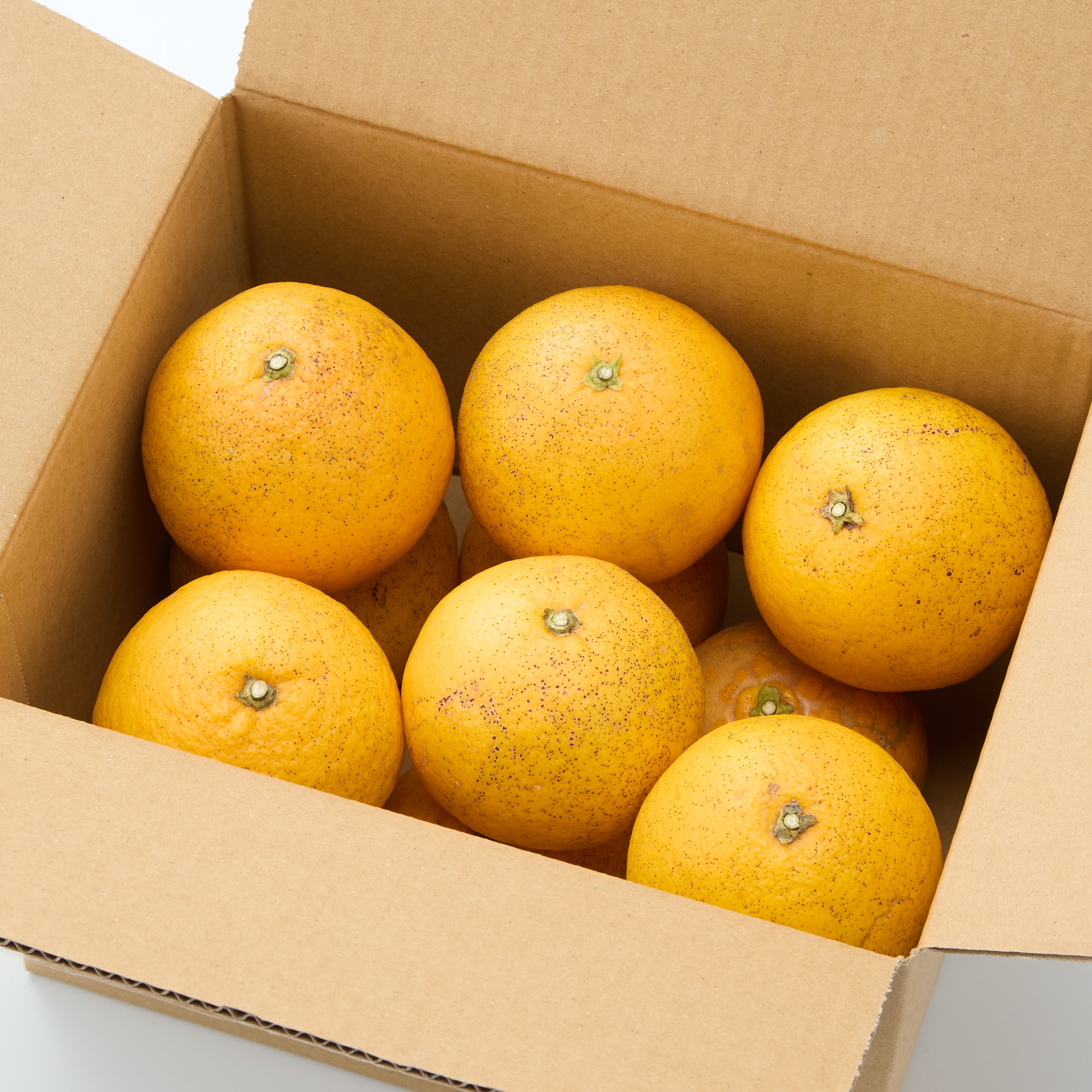 兵庫県産　森果樹園の「淡路橙（なるとオレンジ）」サイズ混合・約２．５ｋｇ（約９～１２玉）