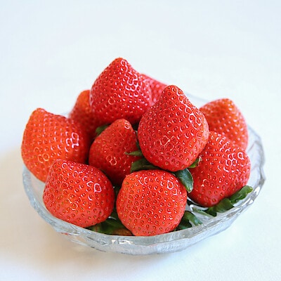 埼玉県産　矢島農園のいちご「あまりん」約５００ｇ（約１６～２２粒）