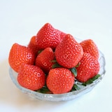 埼玉県産　矢島農園のいちご「あまりん」約５００ｇ（約１６～２２粒）