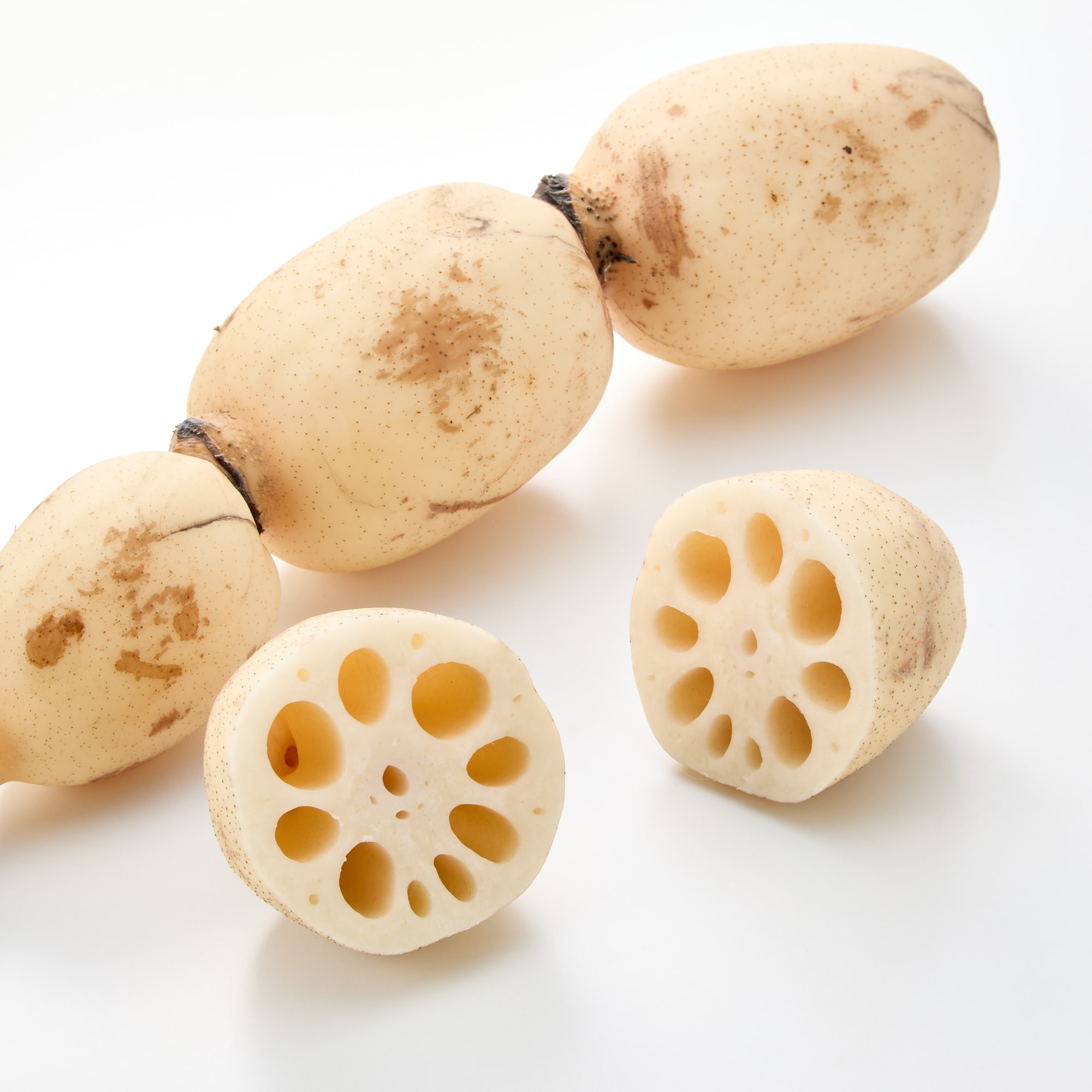 茨城県産　野口れんこんの「極上白れんこん」約２ｋｇ